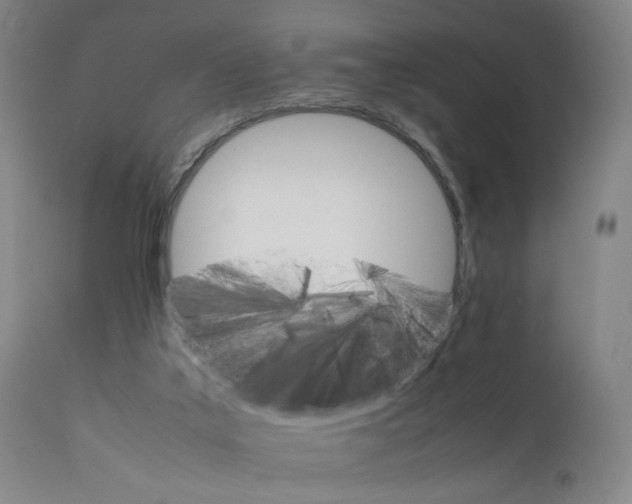 X0000111230019200907231515