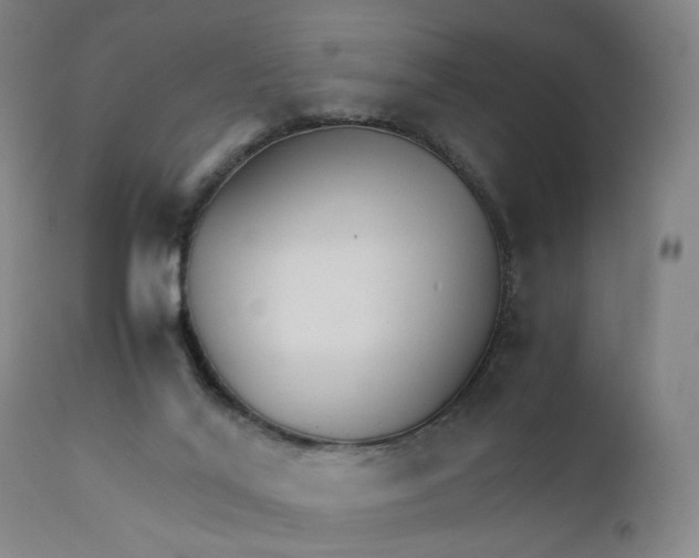 X0000111230020200907231515