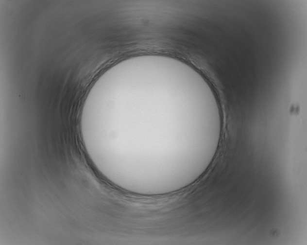 X0000111230021200907231515