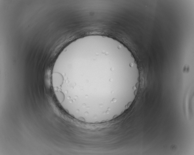 X0000111230022200907231515