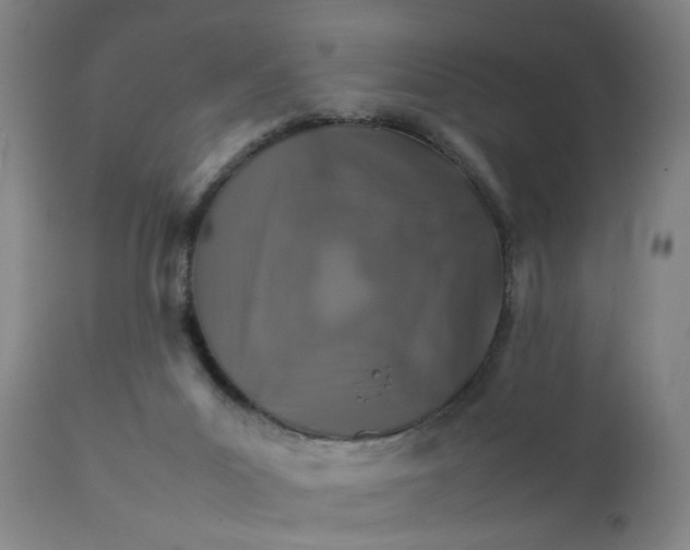 X0000111230023200907231515