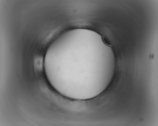 X0000111230024200907231515