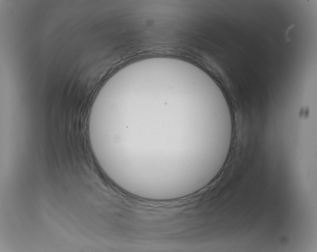 X0000111230025200907231515