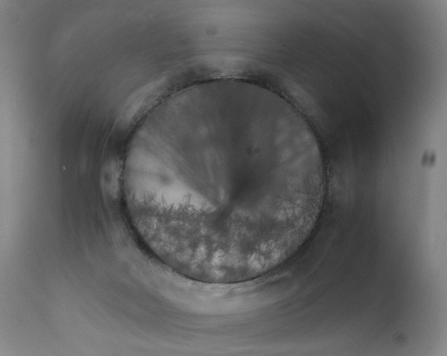 X0000111230026200907231515