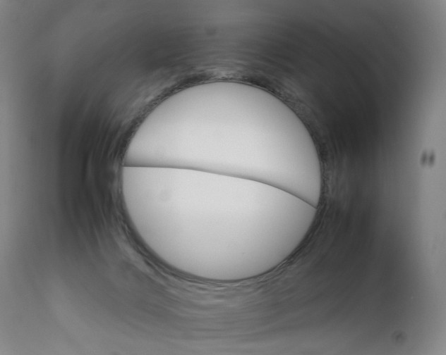 X0000111230028200907231515