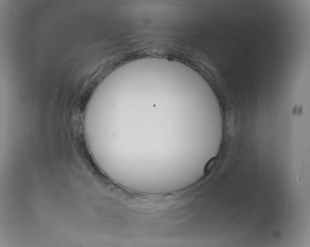 X0000111230029200907231515