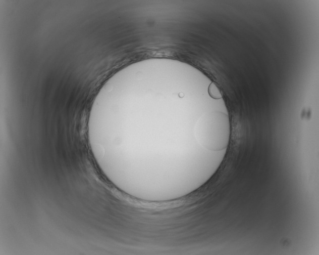 X0000111230030200907231515