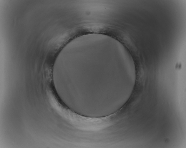 X0000111230031200907231515