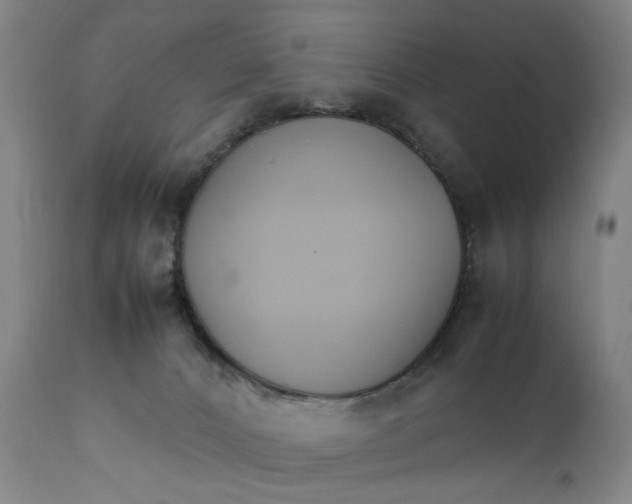 X0000111230032200907231515