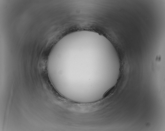 X0000111230033200907231515