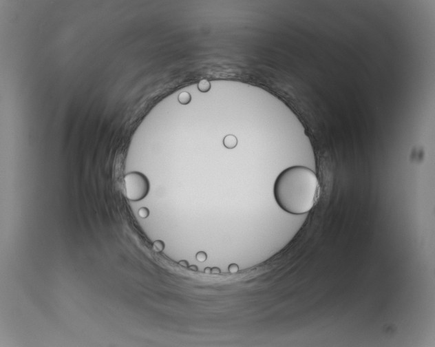 X0000111230034200907231515