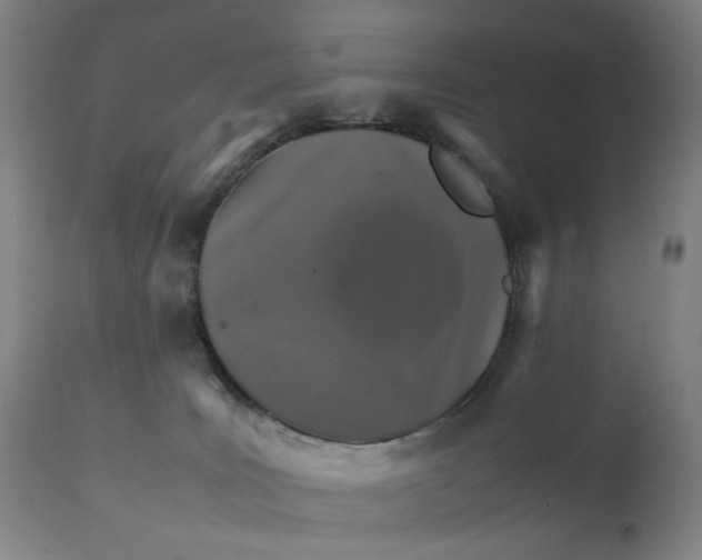 X0000111230035200907231515