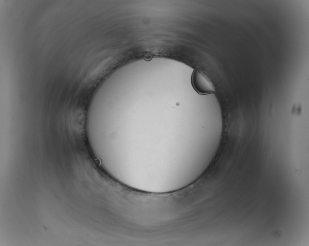 X0000111230036200907231515