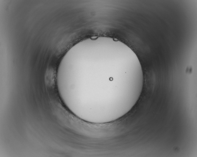 X0000111230038200907231515