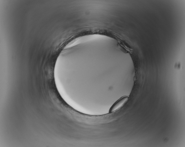 X0000111230039200907231515