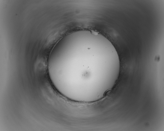 X0000111230040200907231515