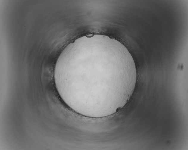 X0000111230043200907231515