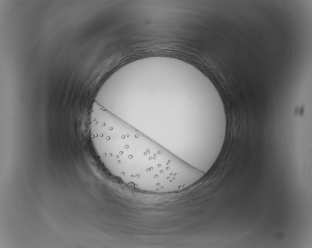 X0000111230044200907231515