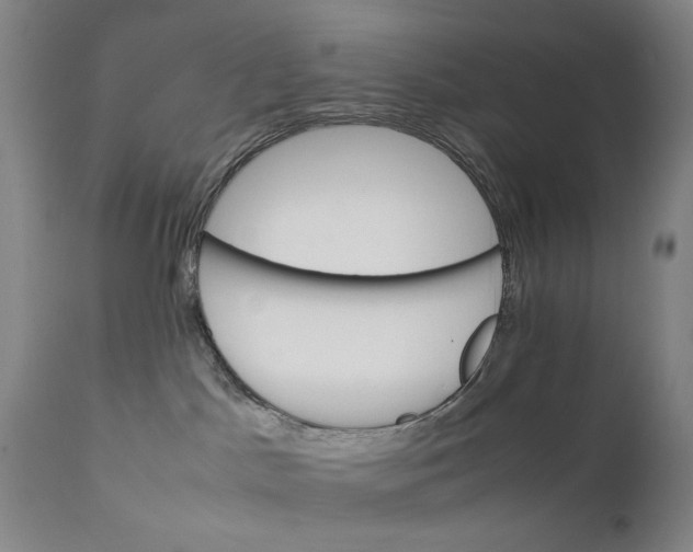 X0000111230045200907231515