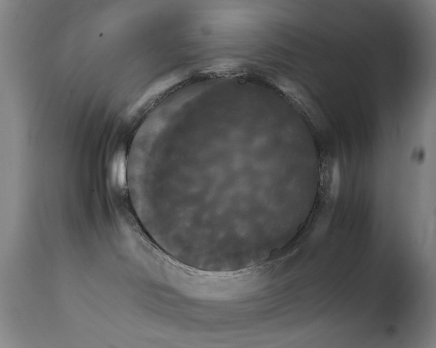 X0000111230046200907231515