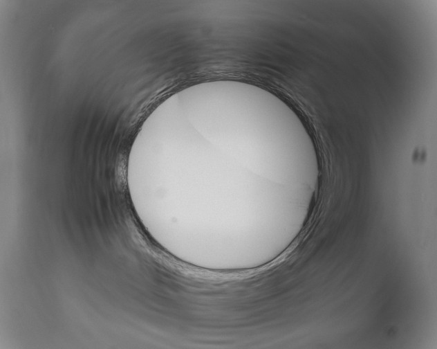 X0000111230048200907231515