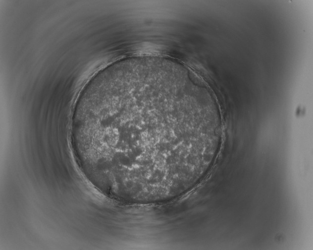 X0000111230049200907231514