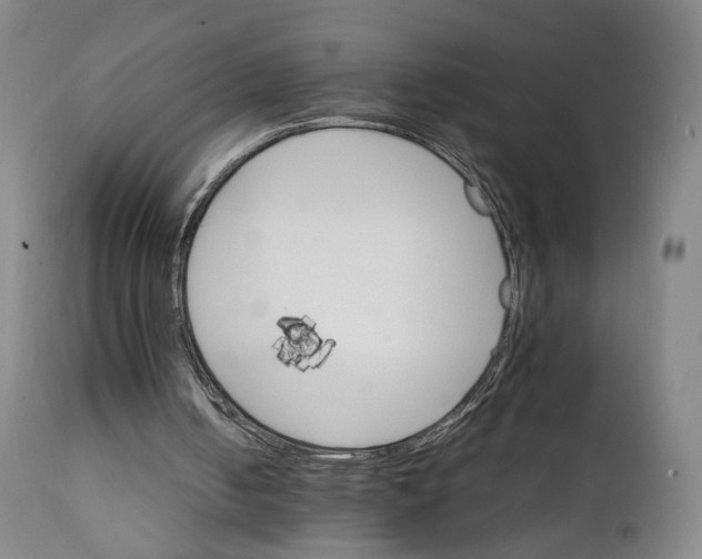 X0000111230050200907231514