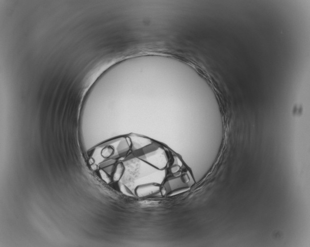 X0000111230052200907231514