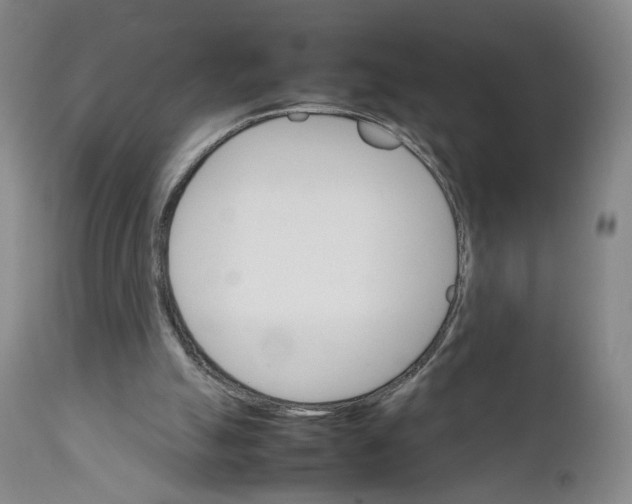 X0000111230055200907231514