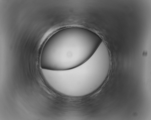 X0000111230056200907231514