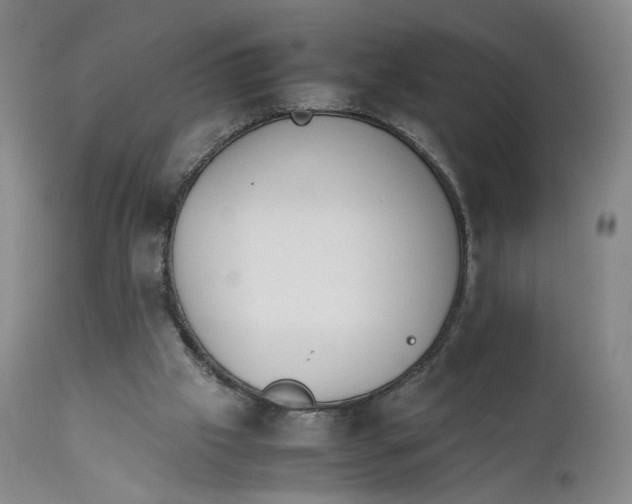 X0000111230057200907231514