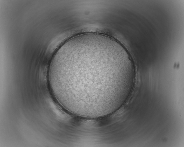 X0000111230058200907231514