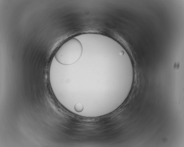 X0000111230059200907231514