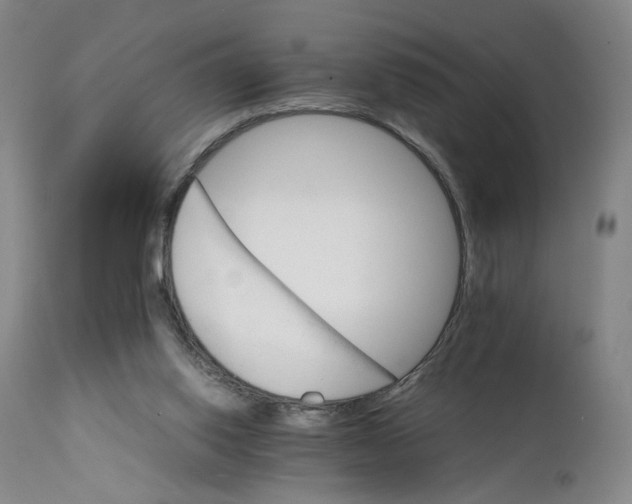 X0000111230062200907231514