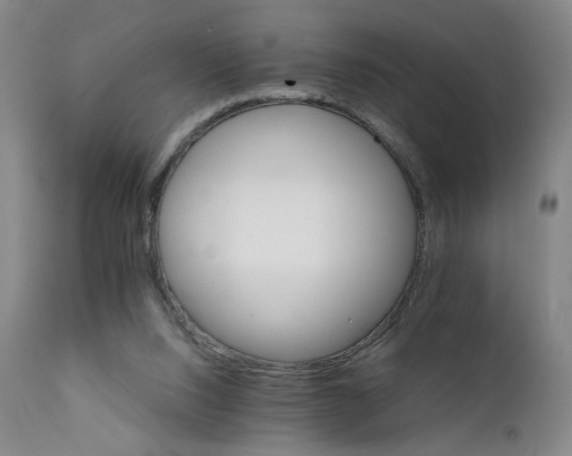 X0000111230064200907231514