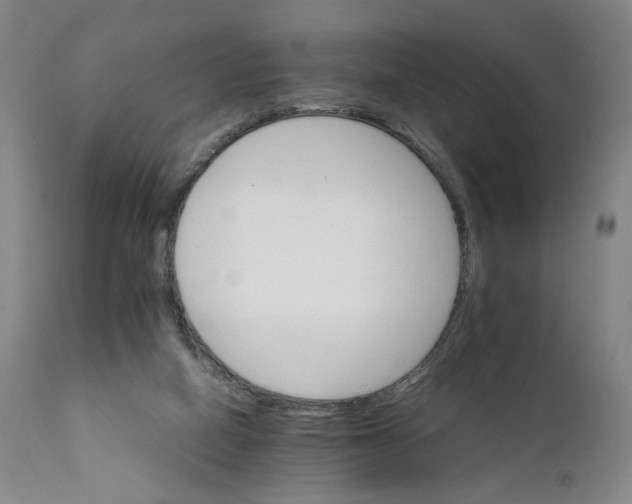 X0000111230066200907231514