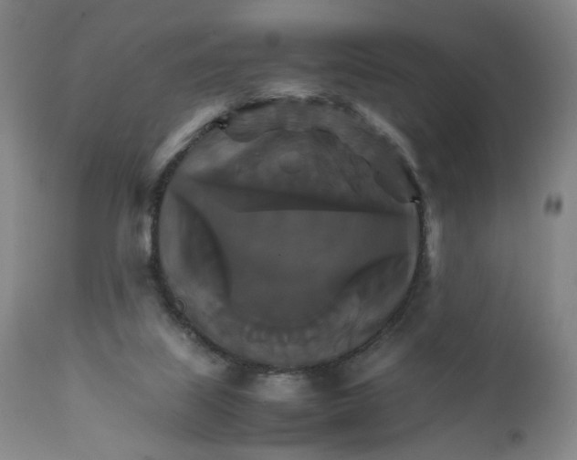 X0000111230067200907231514