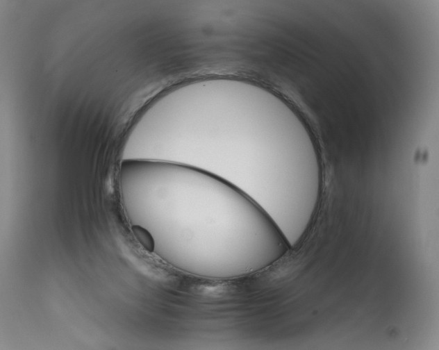 X0000111230068200907231514