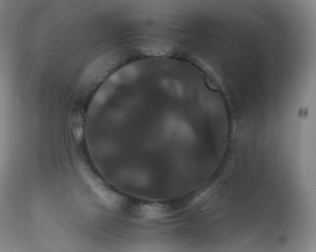 X0000111230069200907231514