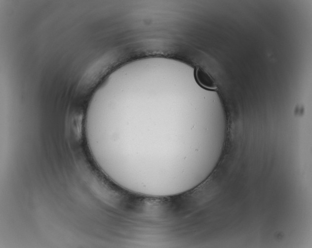 X0000111230070200907231514