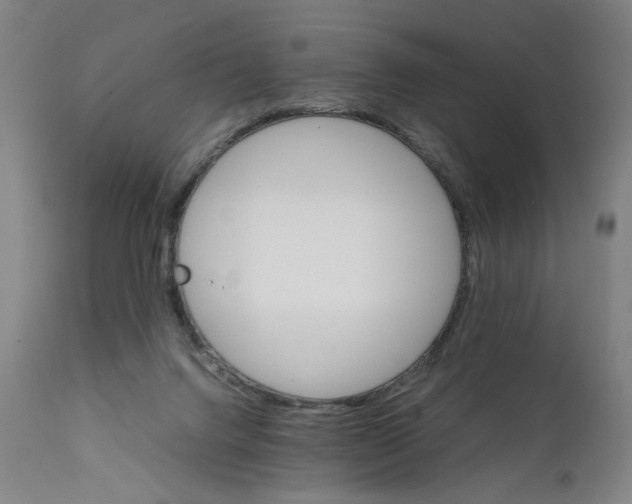 X0000111230072200907231514