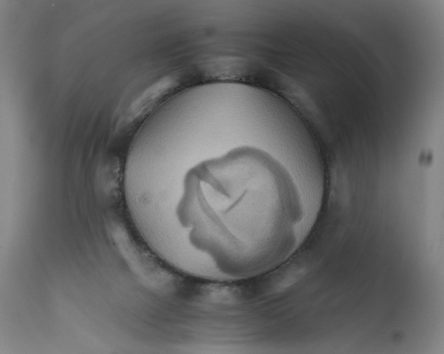 X0000111230073200907231514