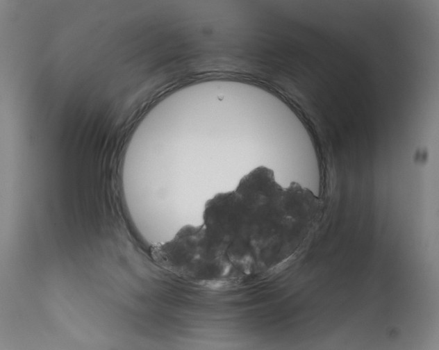 X0000111230074200907231514