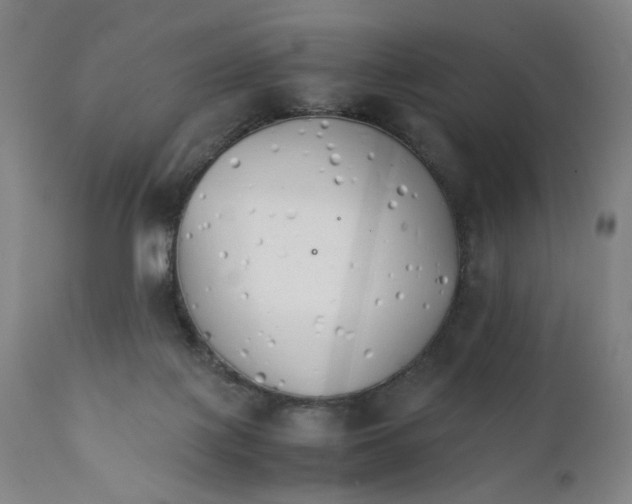 X0000111230075200907231514