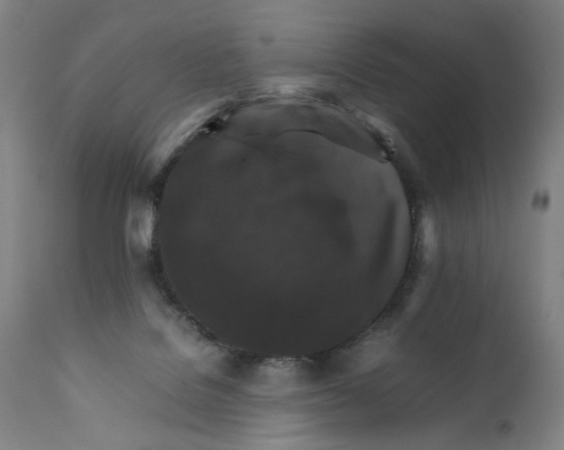 X0000111230076200907231514