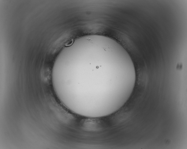 X0000111230077200907231514