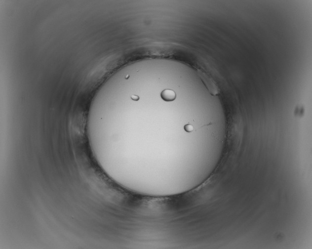 X0000111230078200907231514