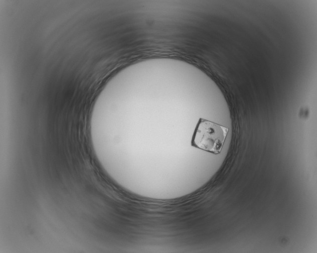 X0000111230080200907231514