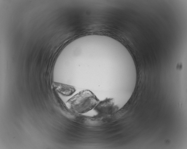 X0000111230081200907231514