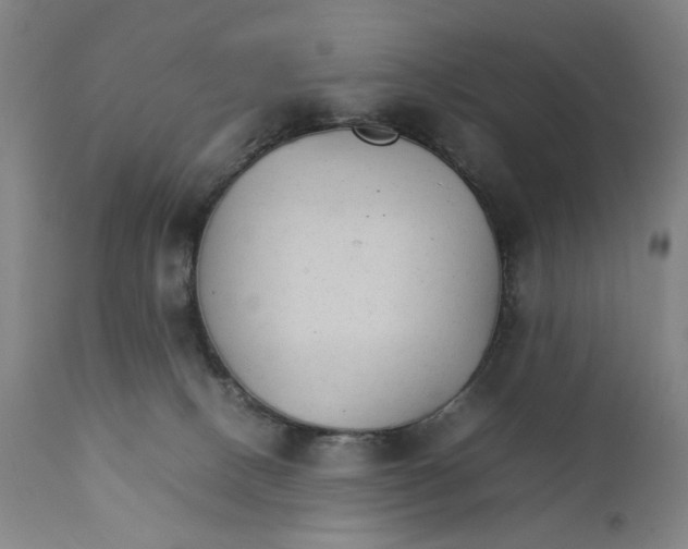 X0000111230082200907231514